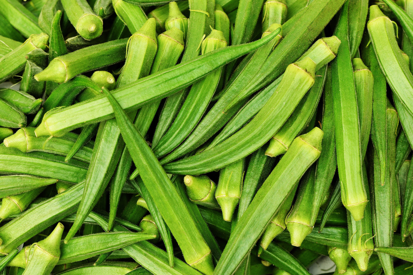 300 Clemson Green Okra (Abelmoscgus Esculentus) Seeds