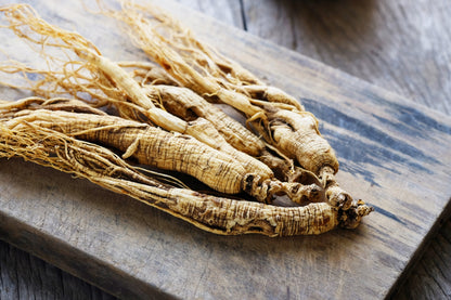 American Ginseng (Panax quinquefolius) Seeds – 25 ct