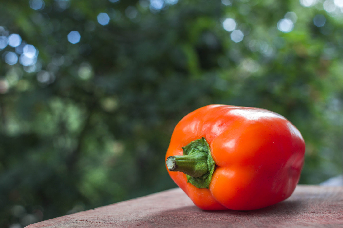 50 Orange Sun Bell Pepper (Capsicum Annuum) Seeds