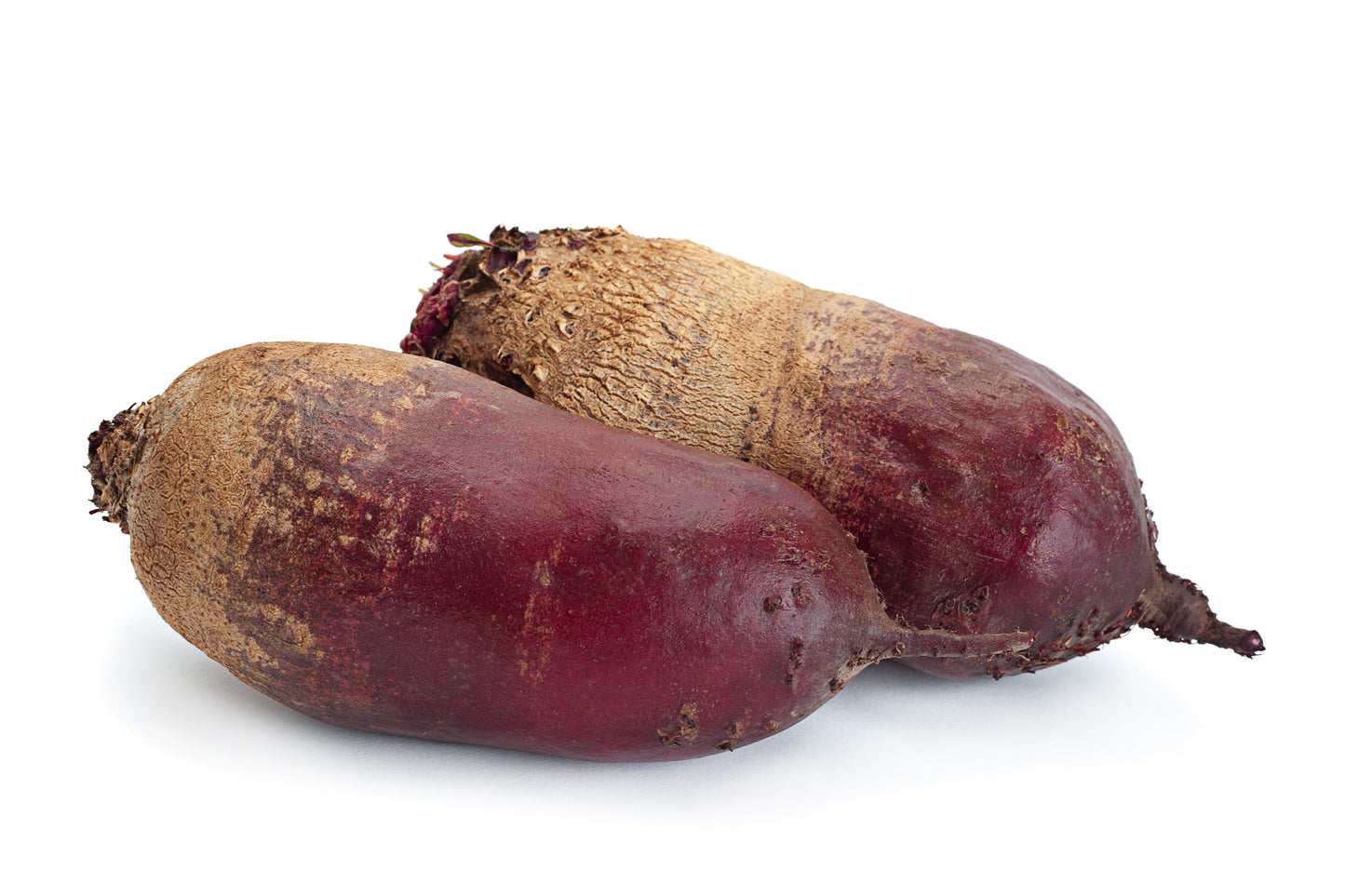 250 Cylindra Beet (Beta Vulgaris) Seeds