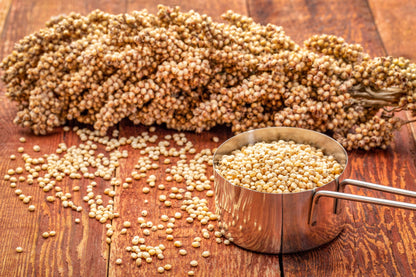 75 White Popping Sorghum (Sorghum Bicolor) Seeds