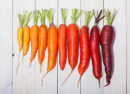 500 Rainbow Carrot Mix (Daucus Carrota) Seeds