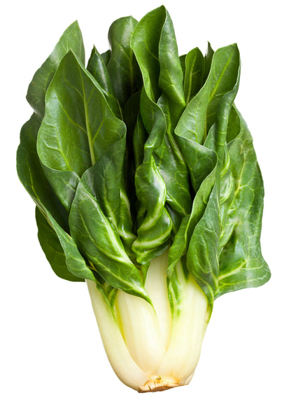 250 Barese Swiss Chard (Beta Vulgaris) Seeds