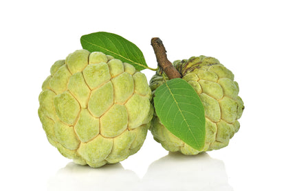 15 Sweetsop/ Custard Apple (Annona Squamosa) Seeds