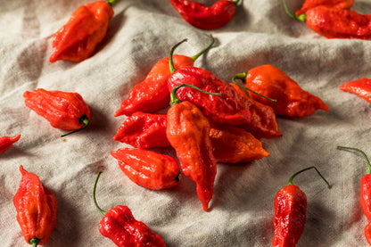 Ghost Pepper (Bhut Jolokia) (Capsicum chinense) Seeds – 20 ct