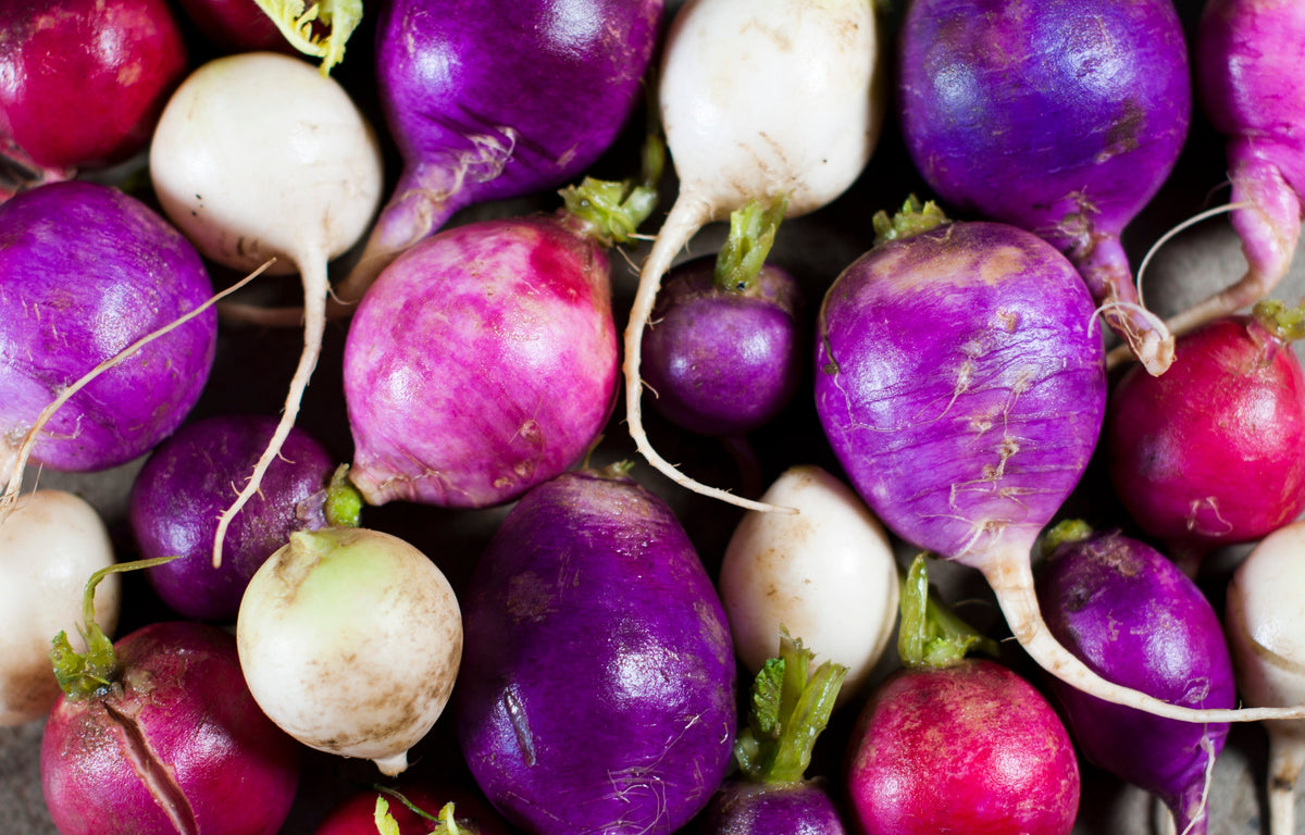 500 Mixed Colors EASTER EGG RADISH Raphanus Sativus Vegetable Seeds