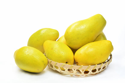 Chinese Quince (Pseudocydonia sinensis) Seeds – 20 ct