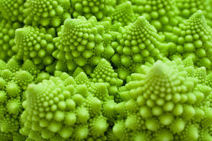 500 ROMANESCO BROCCOLI Broccoflower Roman Cauliflower Pyramid Broccolo Brassica Oleracea Vegetable Seeds