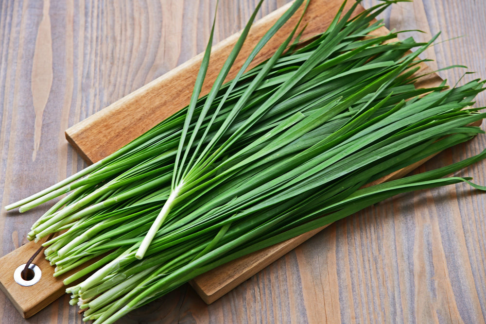 250 Garlic Chive (Allium Tuberosum) Seeds