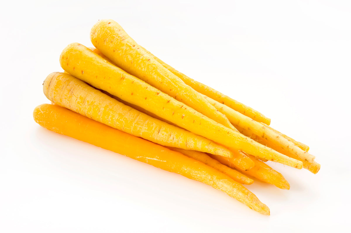 300 SOLAR YELLOW CARROT Daucus Carota Vegetable Seeds