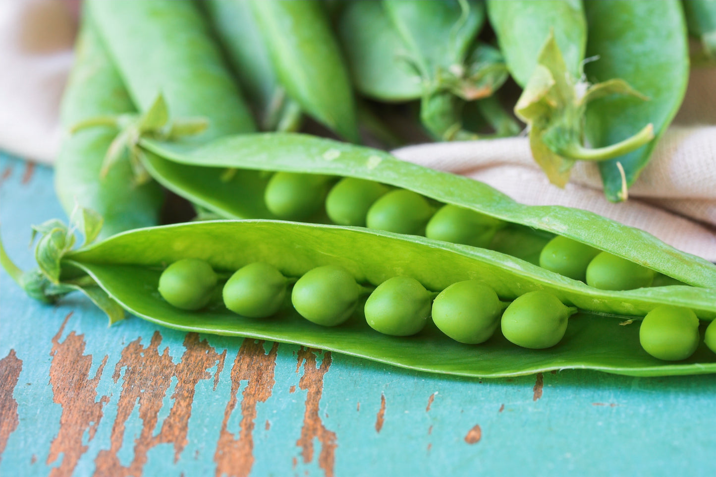 50 Green Arrow Pea (Pisum Sativum) Seeds