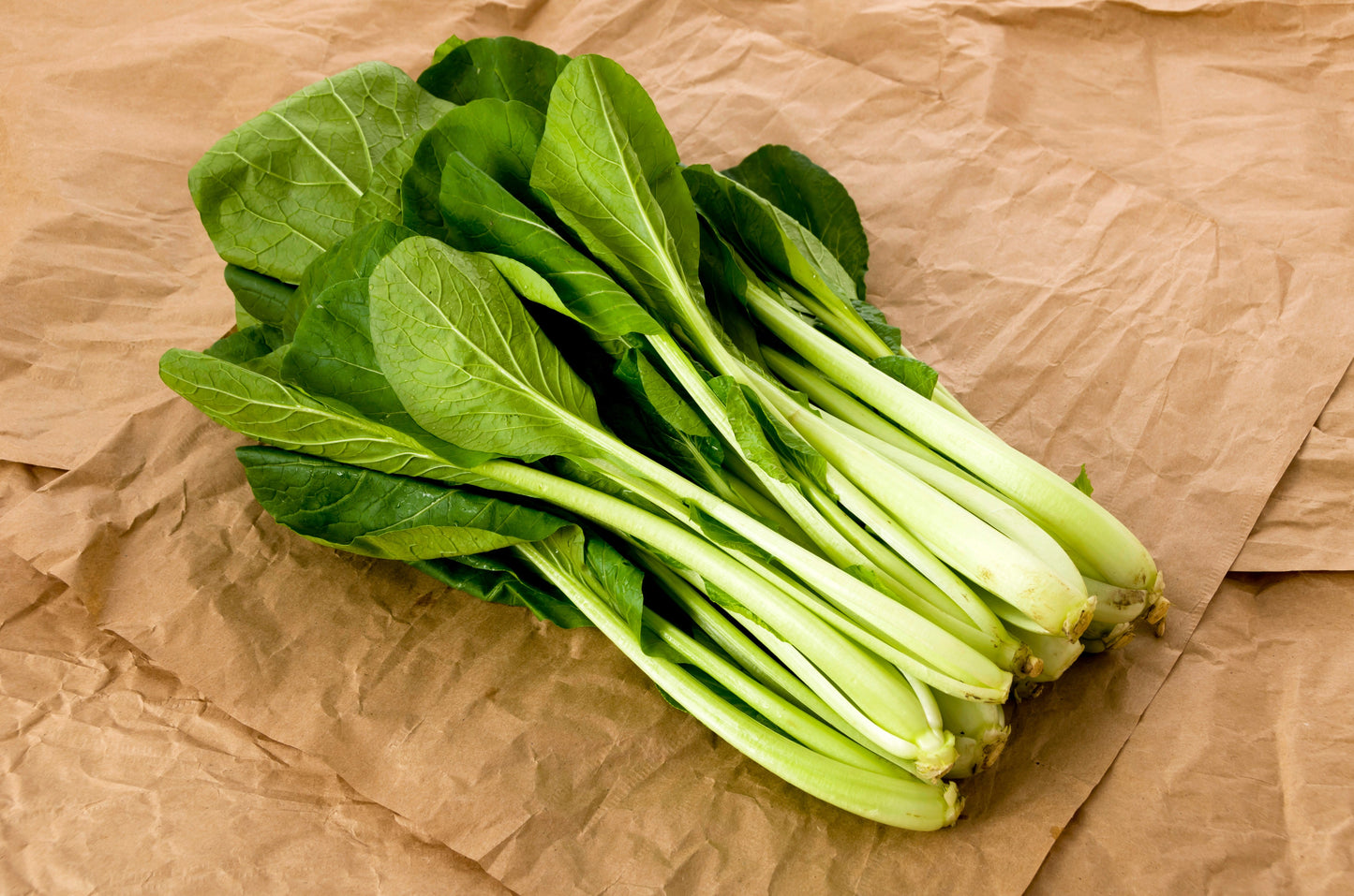 1500 Spinach Mustard Tendergreen (Brassica Rapa) Seeds