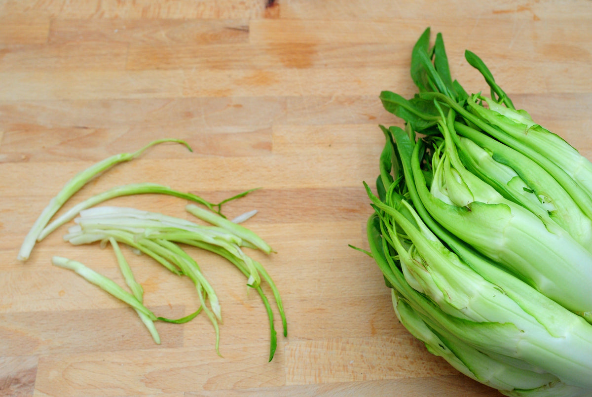 250 CICORIA CATALOGNA Puntarelle Chicorium Chicory Vegetable Seeds