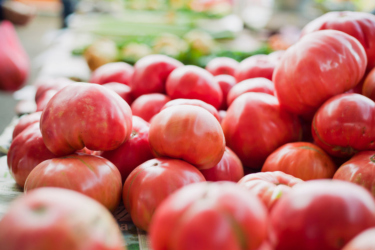 Giant Belgian Pink Tomato (Solanum lycopersicum) Seeds – 50 ct