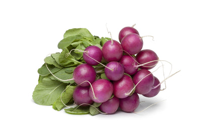 300 Purple Plum Radish (Raphanus Sativus) Seeds