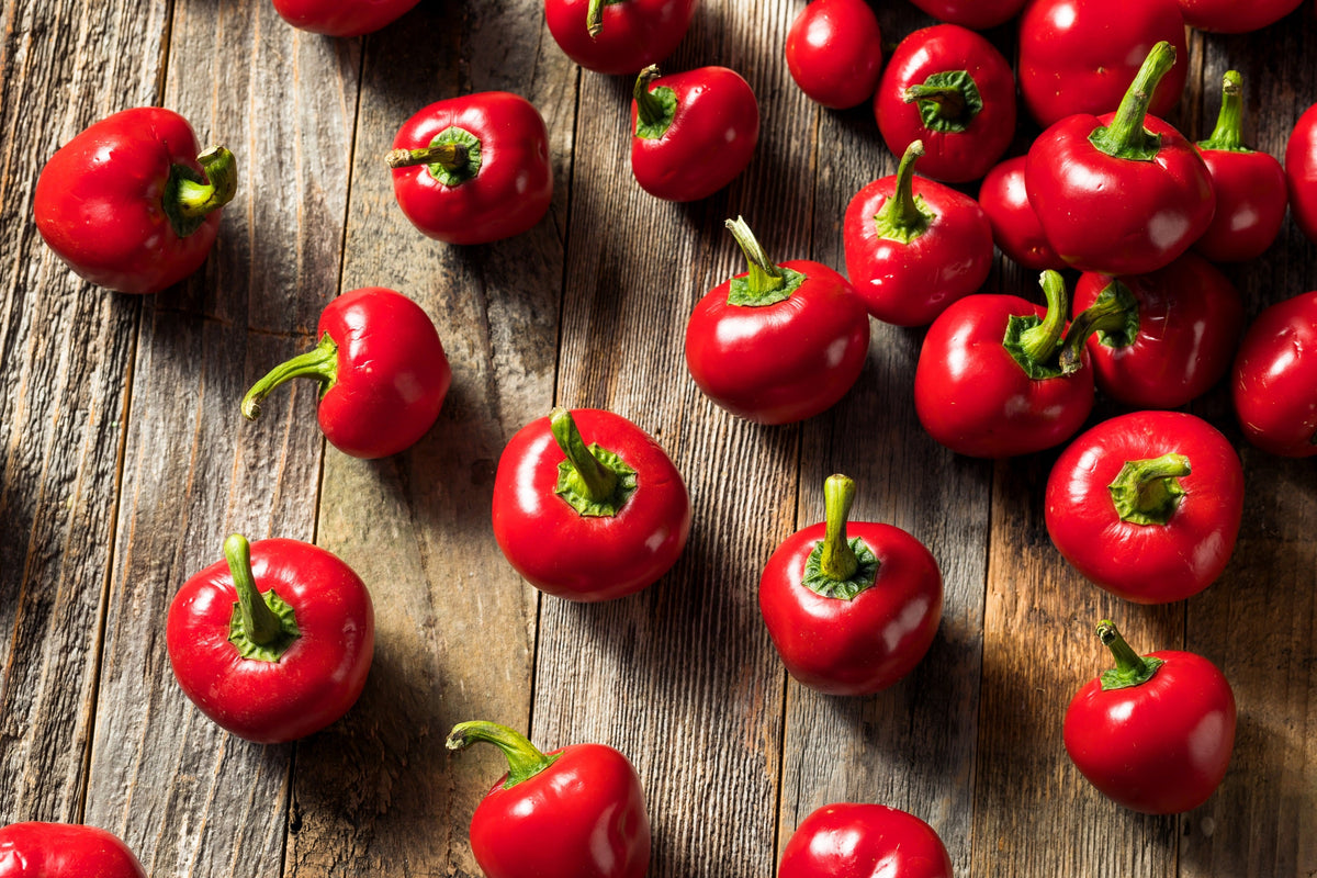 Red Cherry Hot Pepper (Capsicum annuum) Seeds – 100 ct
