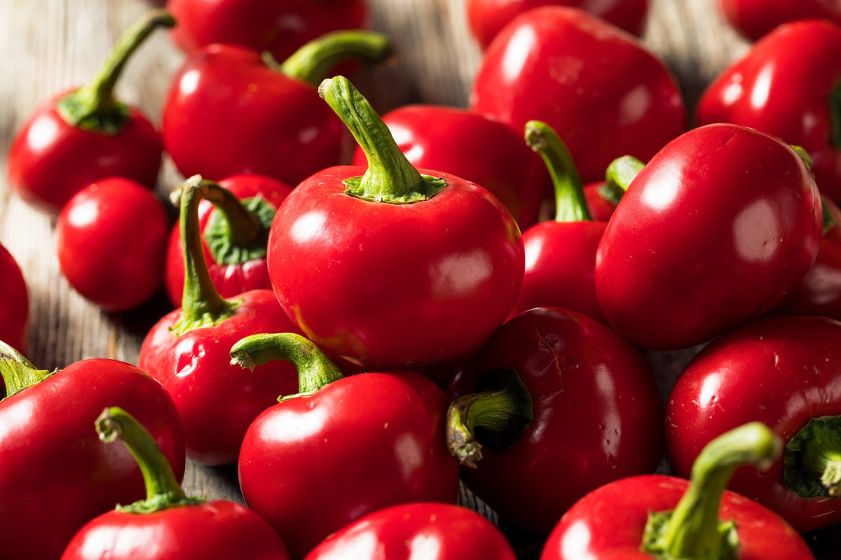 Red Cherry Hot Pepper (Capsicum annuum) Seeds – 100 ct