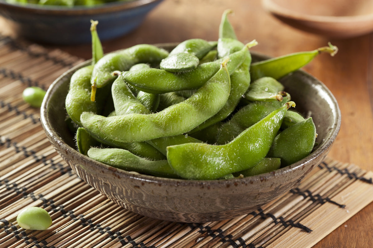20 Buttery Edamame TOHYA SOYBEAN Pale Green Glycine Max Soy Bean Vegetable Seeds