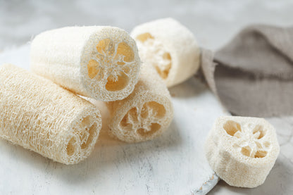25 Luffa Sponge Gourd (Luffa Cylindrica) Seeds