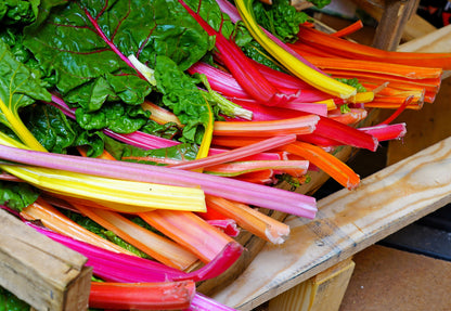 150 Mixed Colors Northern Lights Swiss Chard (Beta Vulgaris Cicla) Seeds