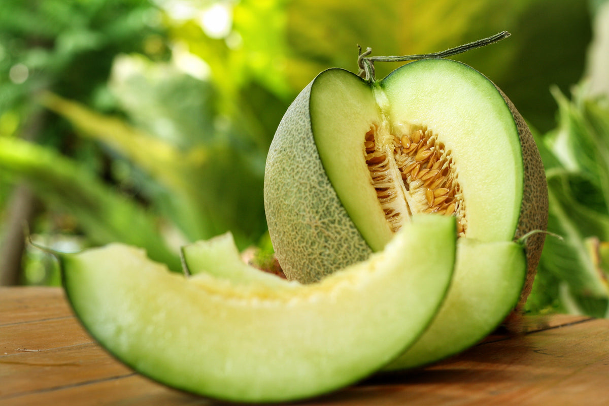 Rocky Ford Green Flesh Cantaloupe (Cucumis melo) Seeds – 75 ct