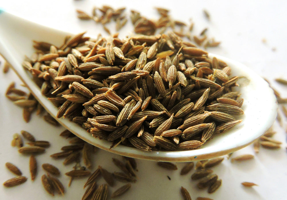 500 Organic Cumin (Cuminum Cyminum) Seeds