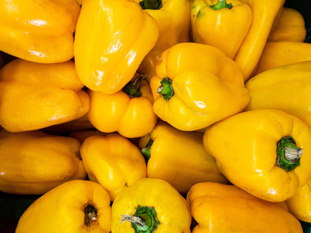 50 Yellow Cheese Pimento Pepper (Capsicum Annuum) Seeds