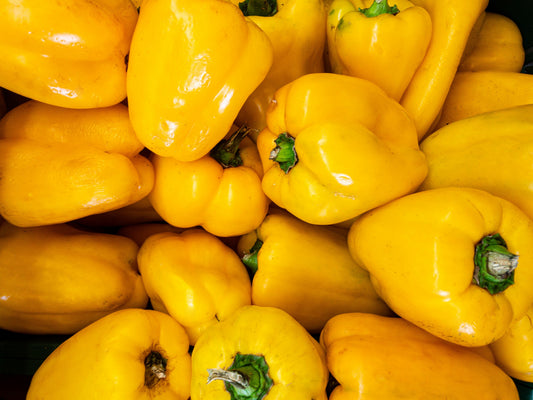 50 Yellow Cheese Pimento Pepper (Capsicum Annuum) Seeds