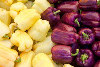 100 LILAC BELL PEPPER Capsicum Annuum Sweet Mild Purple Vegetable Seeds