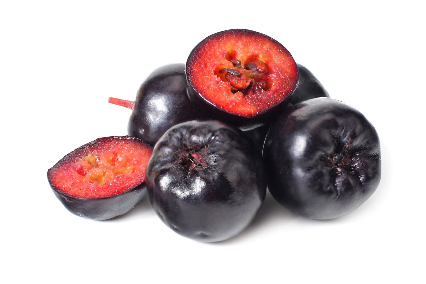 50 Black Chokeberry (Aronia Melanocarpa) Seeds