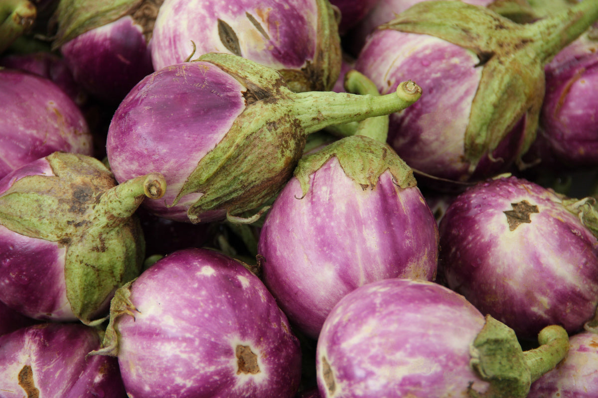 Organic Rosa Bianca Eggplant (Solanum melongena) Seeds – 50 ct