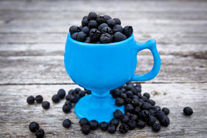 40 Salal Berry (Gaultheria Shallon) Seeds