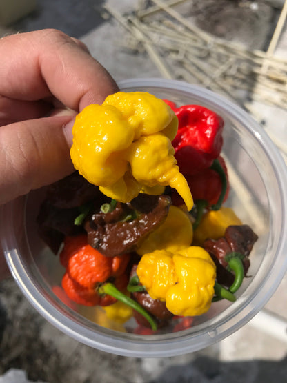 Yellow Carolina Reaper Pepper (Capsicum chinense) Seeds – 10 ct