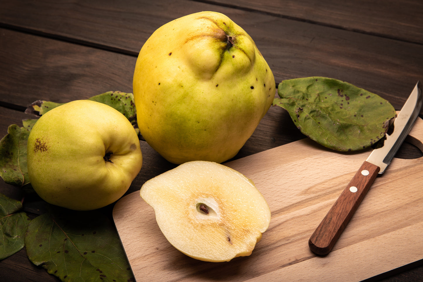 20 Common Culinary Quince (Cydonia Oblonga) Seeds