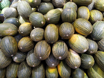Piel De Sapo Melon (Cucumis melo) Seeds – 50 ct