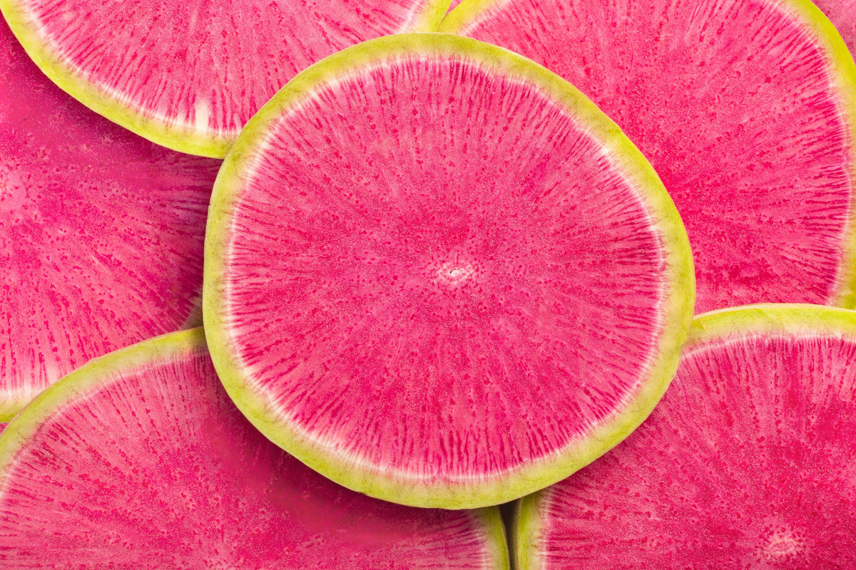 Watermelon Radish (Raphanus sativus) Seeds – 300 ct
