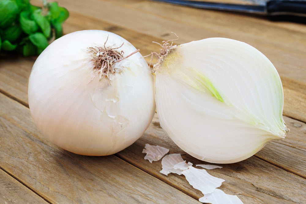 500 Sweet White Spanish Onion (Allium Cepa) Seeds