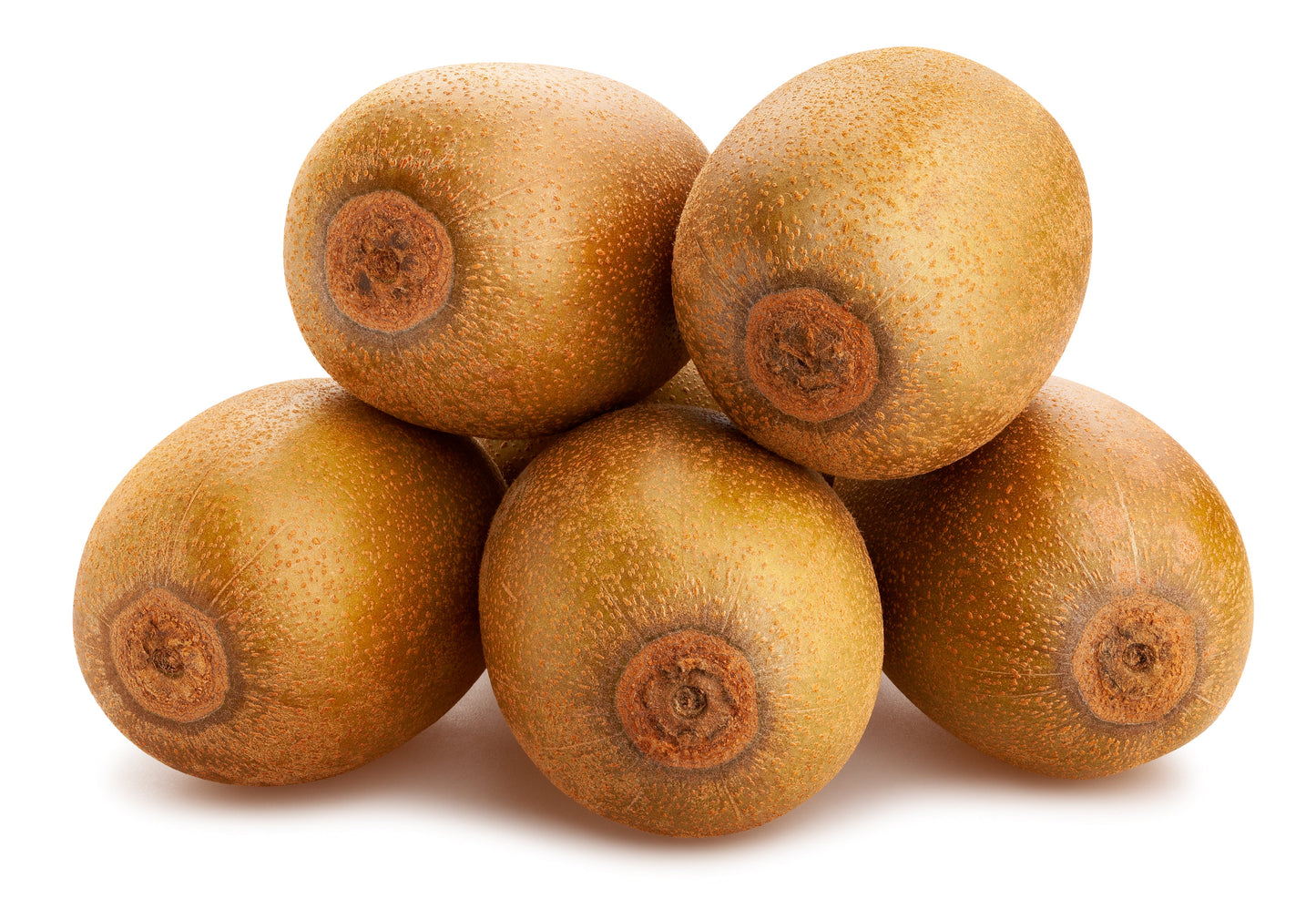 50 Golden Kiwi Fruit (Actinidia Chinensis) Seeds