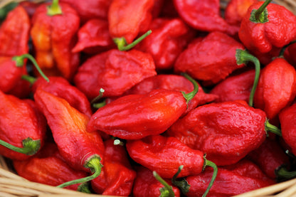 Ghost Pepper (Bhut Jolokia) (Capsicum chinense) Seeds – 20 ct