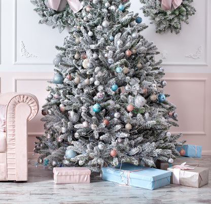 Grow Your Own CHRISTMAS TREE - Colorado Blue Spruce ( Picea Pungens Glauca ) Gift Packet of Tree Seeds