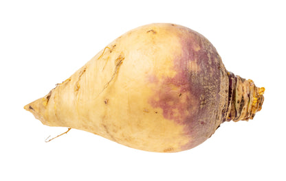 3000 Laurentian Rutabaga (Brassica Napus) Seeds