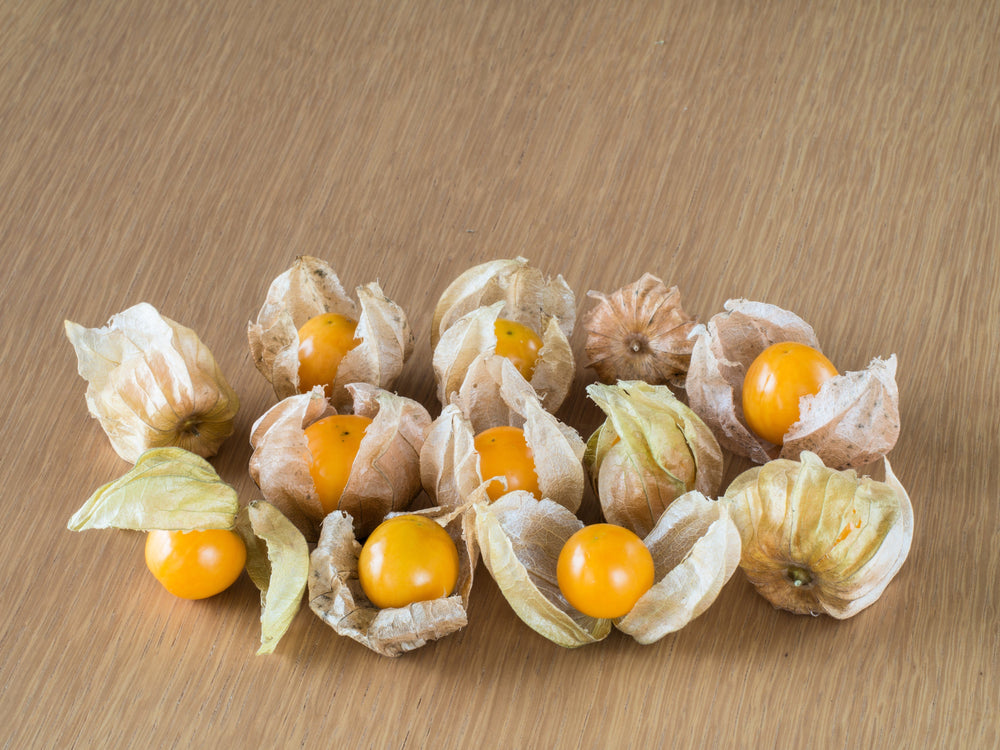 200 Organic Ground Cherry (Physalis Pruinosa) Seeds