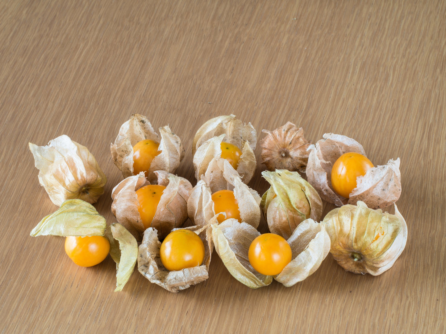 200 Organic Ground Cherry (Physalis Pruinosa) Seeds