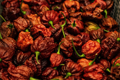 10 Chocolate Carolina Reaper Pepper (Capsicum Chinense) Seeds