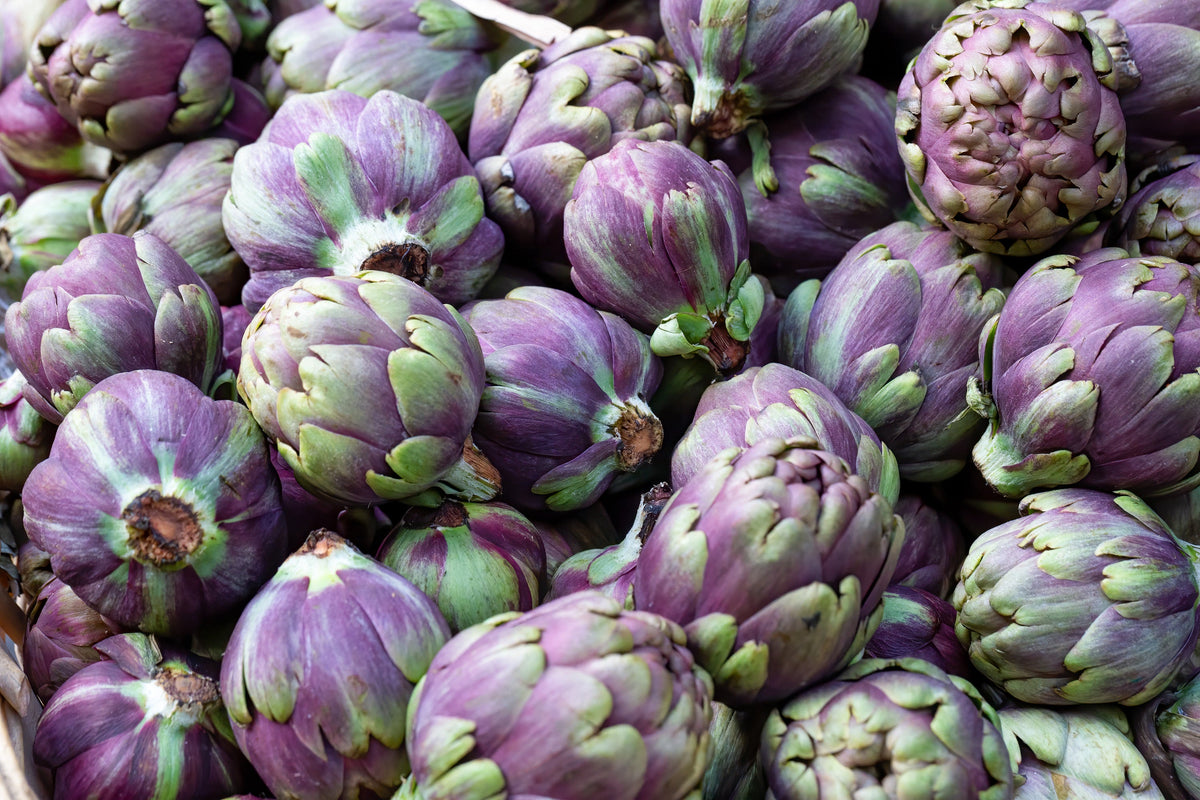 50 PURPLE ROMAGNA ARTICHOKE Italian Cynara Scolymus Flower Vegetable Seeds