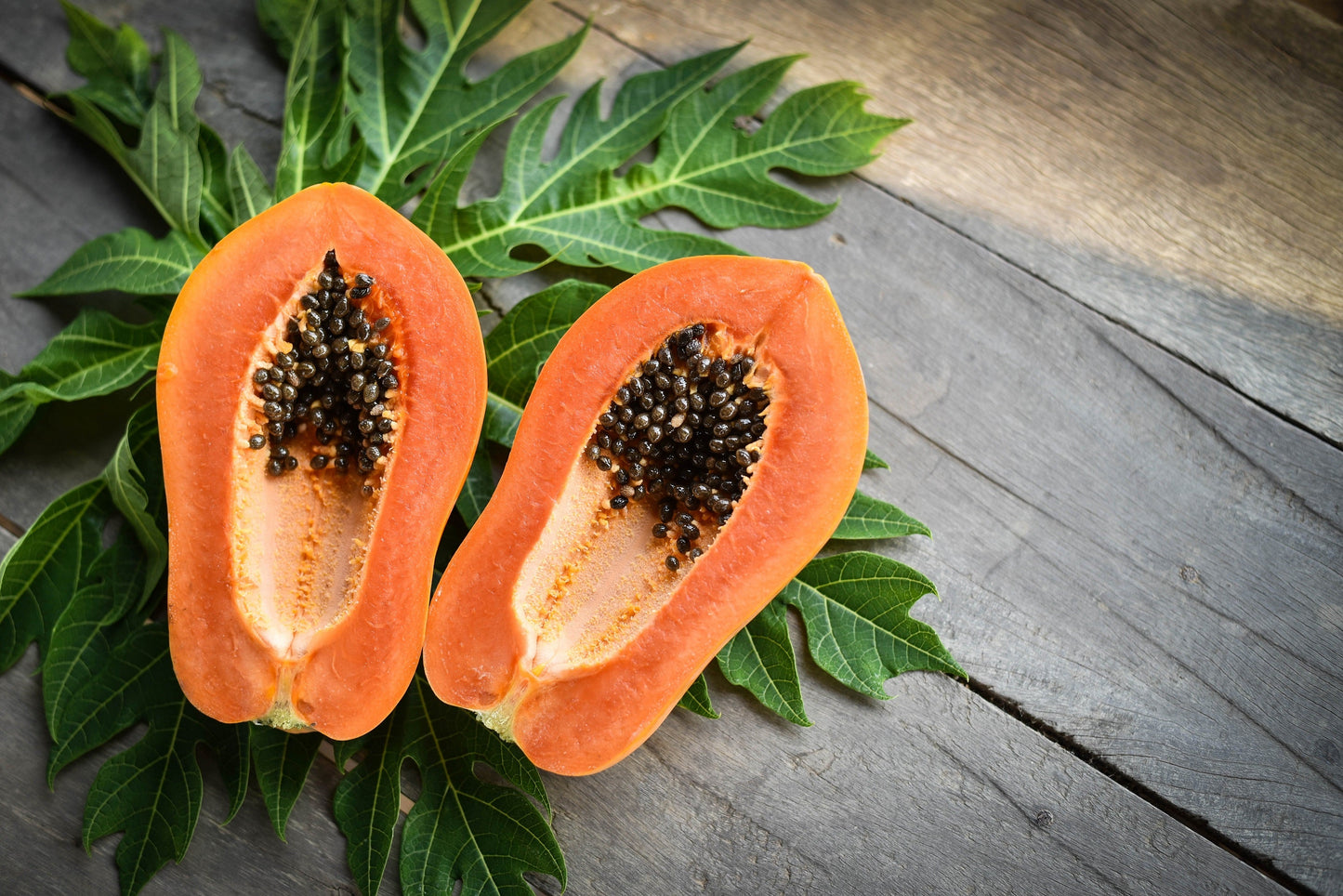 30 Papaya Tree (Carica Papaya) Seeds
