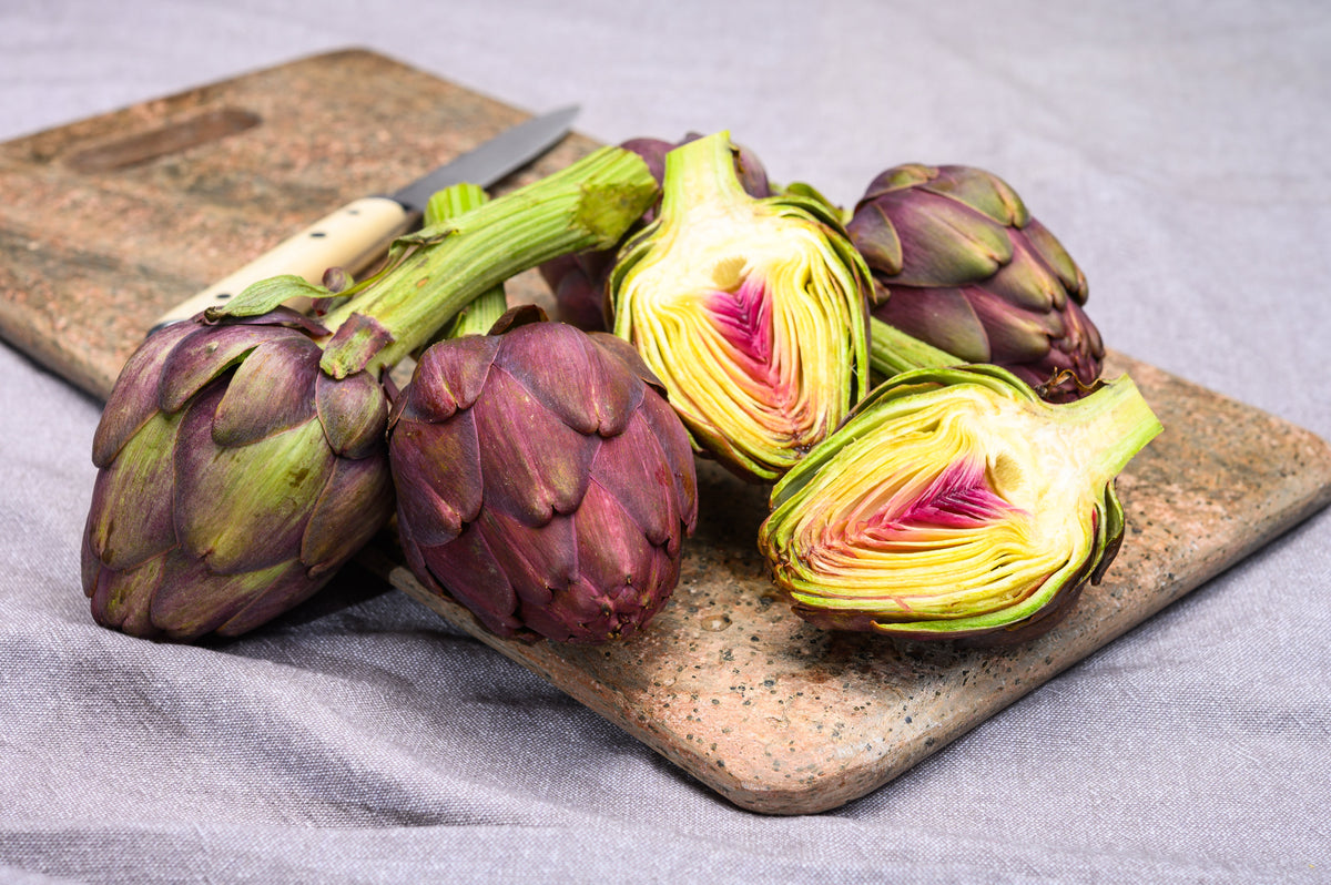 50 PURPLE ROMAGNA ARTICHOKE Italian Cynara Scolymus Flower Vegetable Seeds