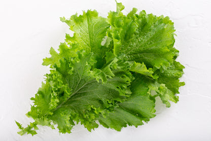 3000 Southern Giant Curled Mustard (Brassica Juncea) Seeds