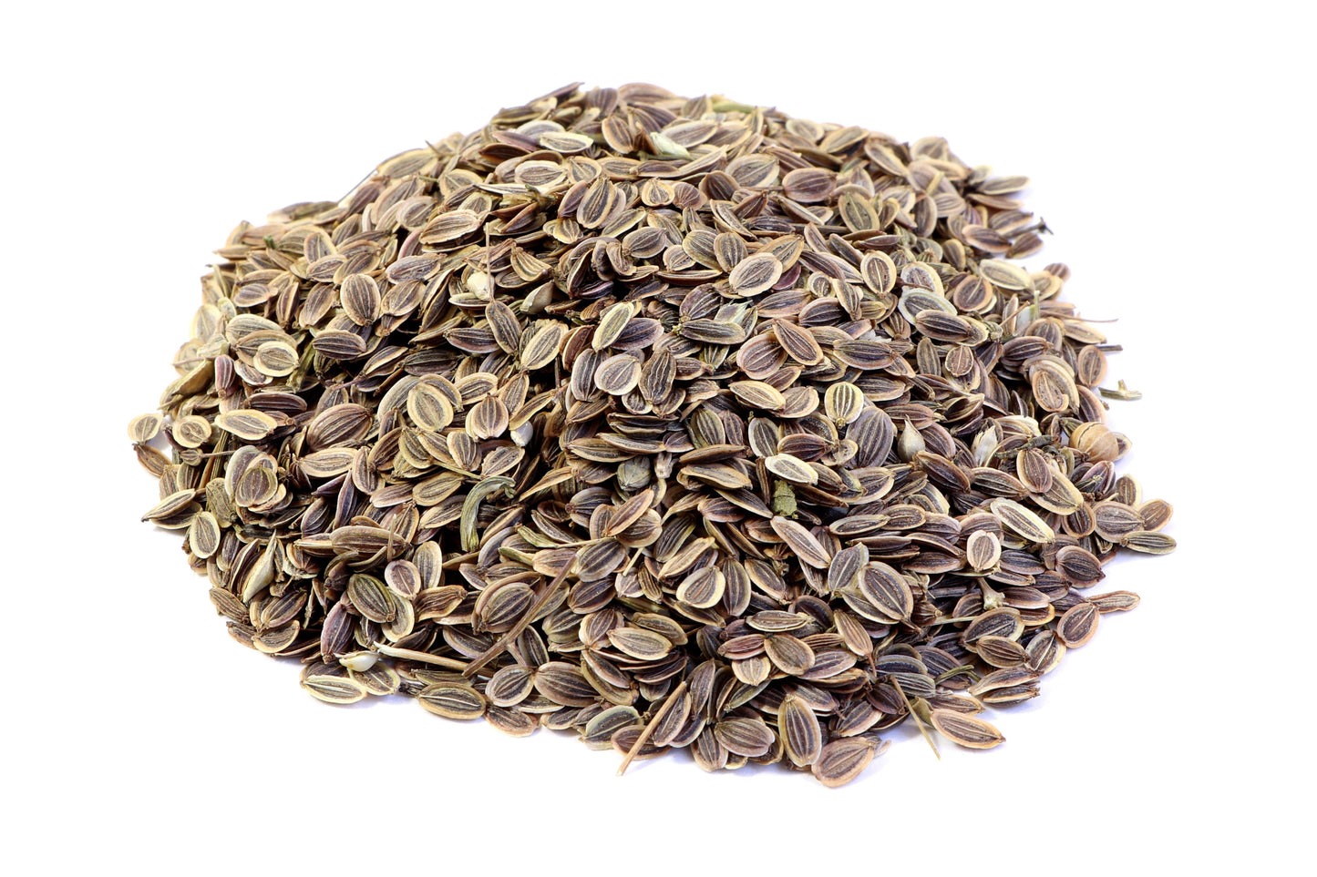 2500 Bouquet Dill (Anethum Graveolens) Seeds