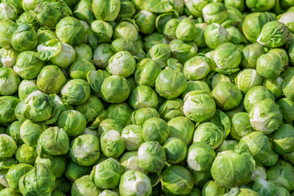 500 Heirloom Brussels Sprouts (Brassica Oleracea) Seeds